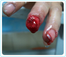 首页-人生就是博中国官方网站