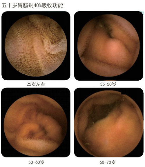 首页-人生就是博中国官方网站