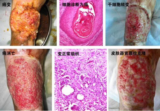 首页-人生就是博中国官方网站