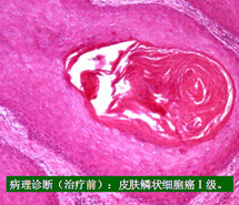 首页-人生就是博中国官方网站