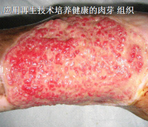 首页-人生就是博中国官方网站