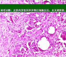首页-人生就是博中国官方网站