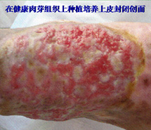 首页-人生就是博中国官方网站