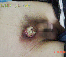 首页-人生就是博中国官方网站