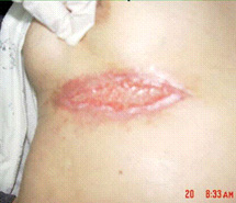 首页-人生就是博中国官方网站