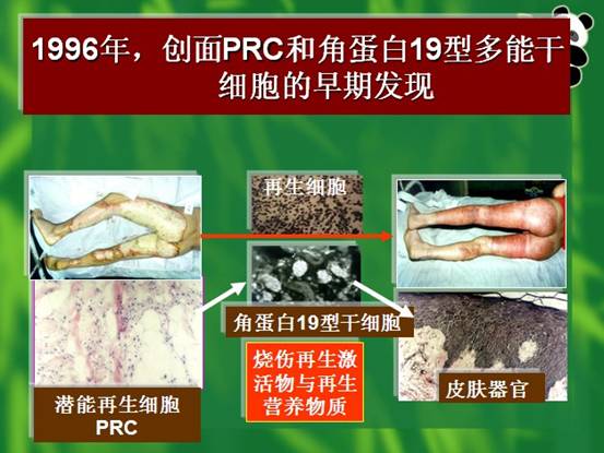 首页-人生就是博中国官方网站