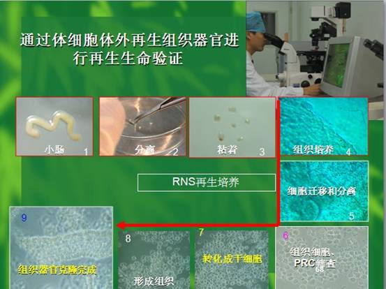 首页-人生就是博中国官方网站