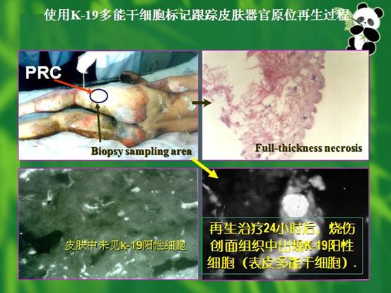 首页-人生就是博中国官方网站