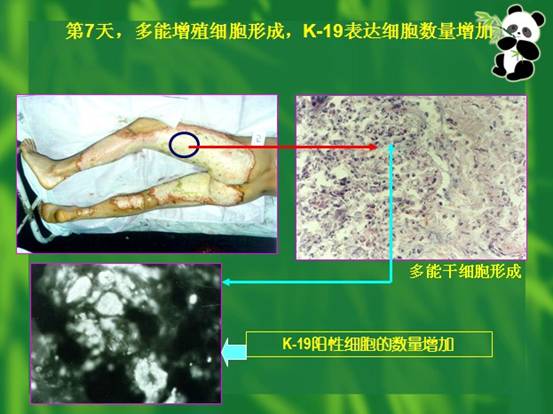 首页-人生就是博中国官方网站