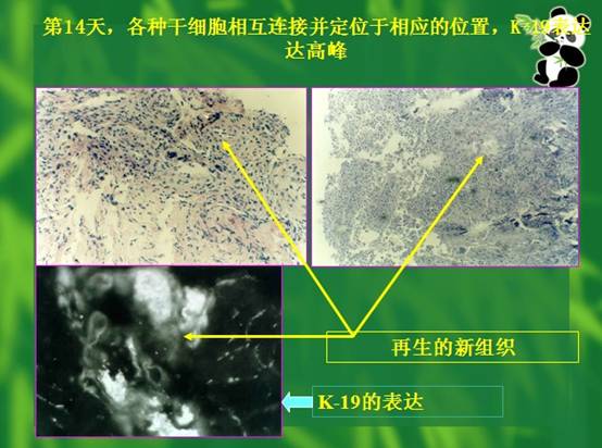 首页-人生就是博中国官方网站