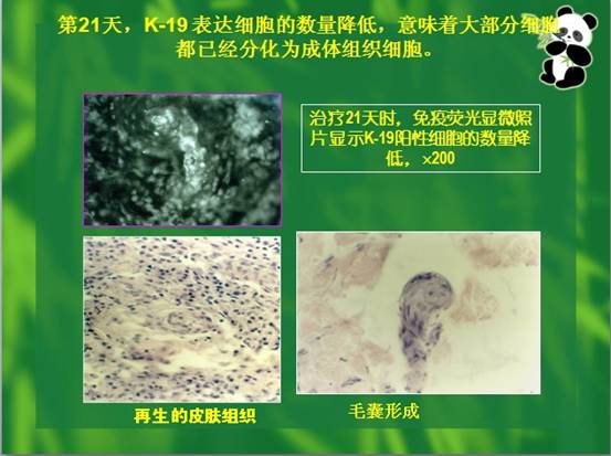 首页-人生就是博中国官方网站