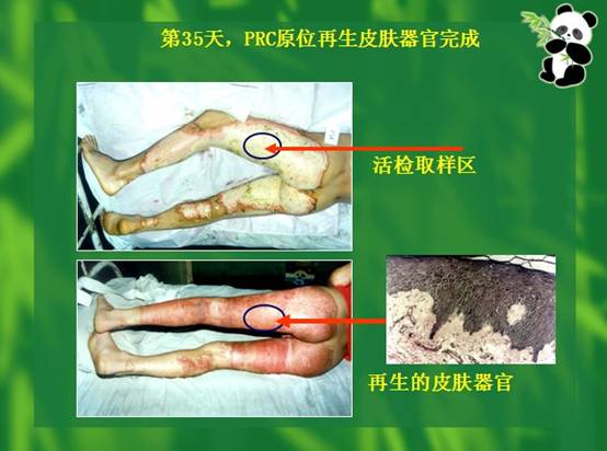 首页-人生就是博中国官方网站