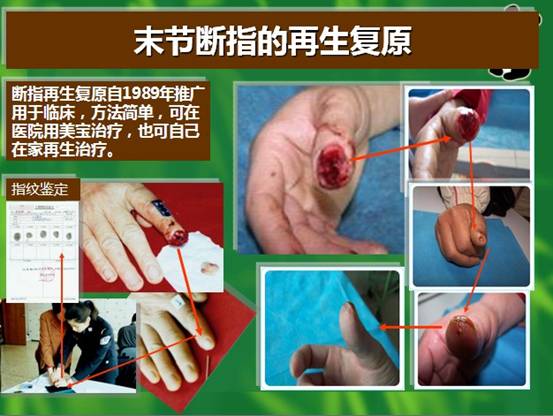 首页-人生就是博中国官方网站