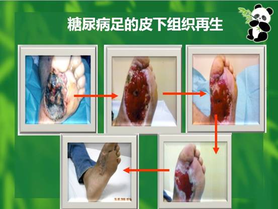 首页-人生就是博中国官方网站