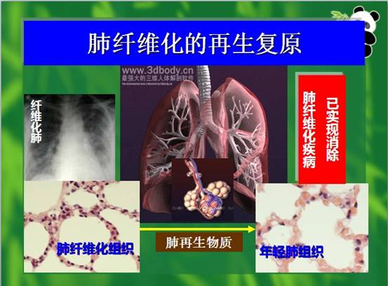 首页-人生就是博中国官方网站