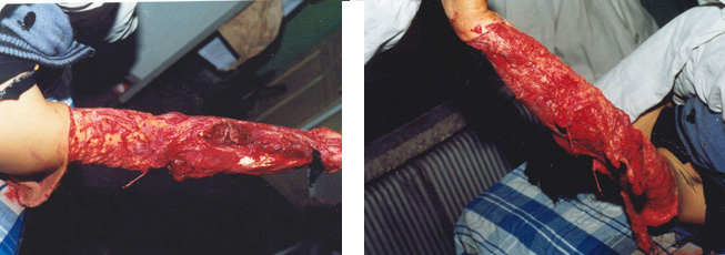 首页-人生就是博中国官方网站