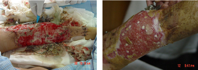 首页-人生就是博中国官方网站