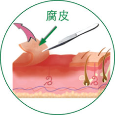 首页-人生就是博中国官方网站