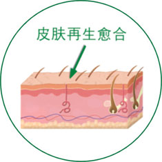 首页-人生就是博中国官方网站