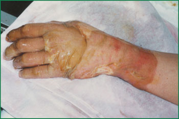 首页-人生就是博中国官方网站