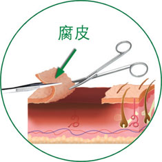 首页-人生就是博中国官方网站