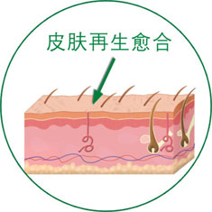 首页-人生就是博中国官方网站
