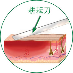 首页-人生就是博中国官方网站