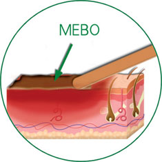 首页-人生就是博中国官方网站