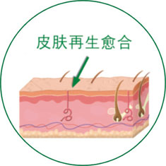 首页-人生就是博中国官方网站