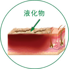 首页-人生就是博中国官方网站