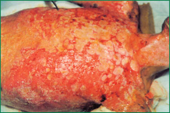 首页-人生就是博中国官方网站