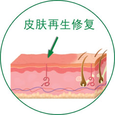 首页-人生就是博中国官方网站