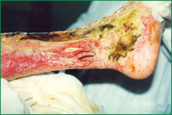 首页-人生就是博中国官方网站