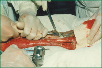 首页-人生就是博中国官方网站