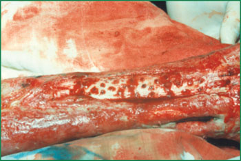 首页-人生就是博中国官方网站