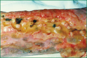 首页-人生就是博中国官方网站