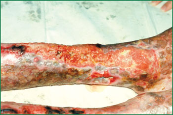 首页-人生就是博中国官方网站