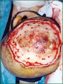 首页-人生就是博中国官方网站