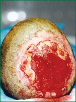 首页-人生就是博中国官方网站