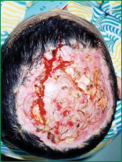 首页-人生就是博中国官方网站