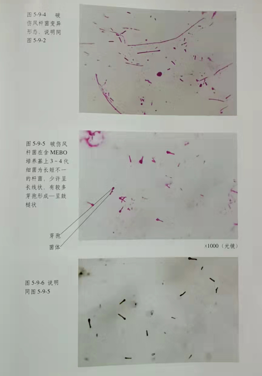 首页-人生就是博中国官方网站