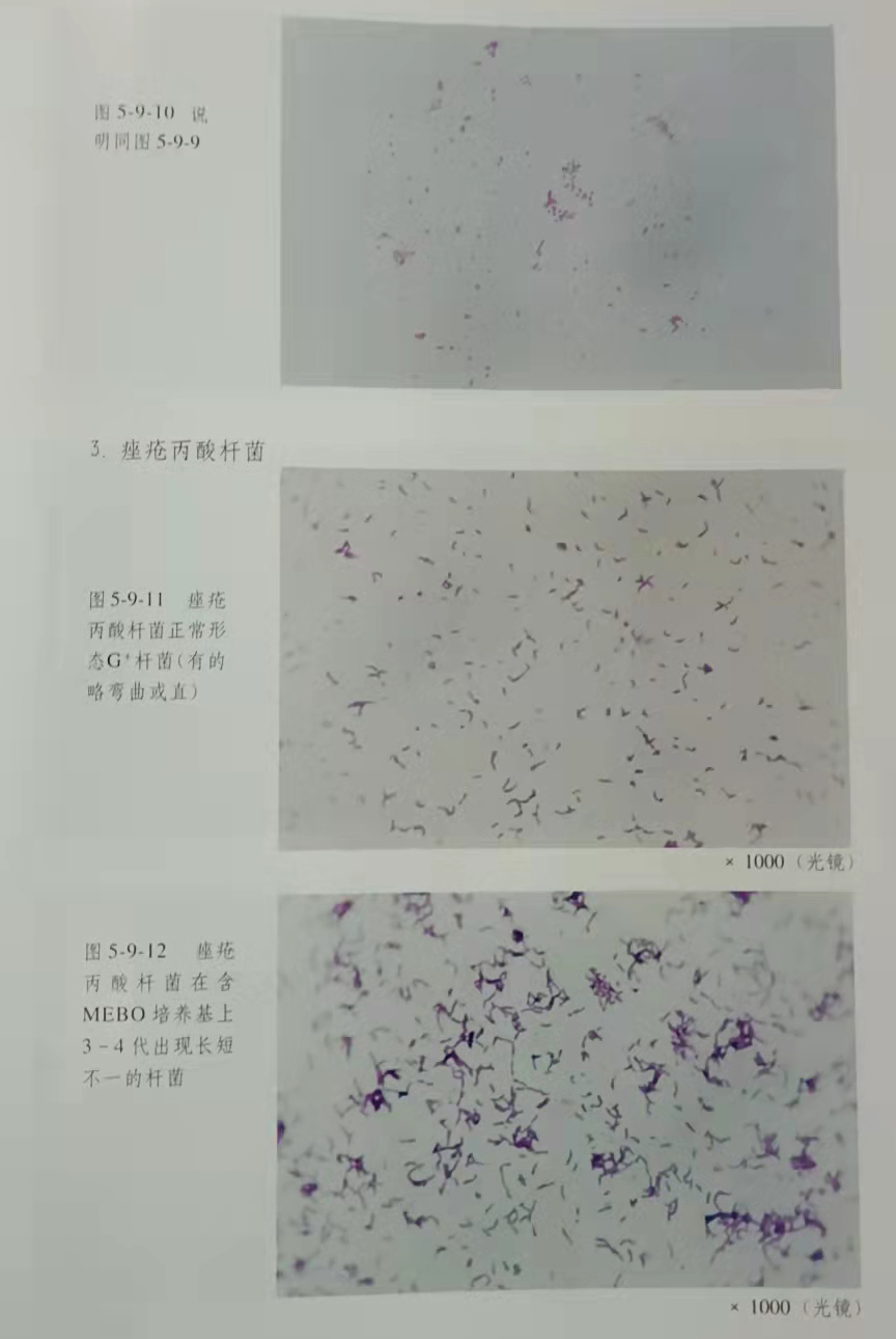 首页-人生就是博中国官方网站