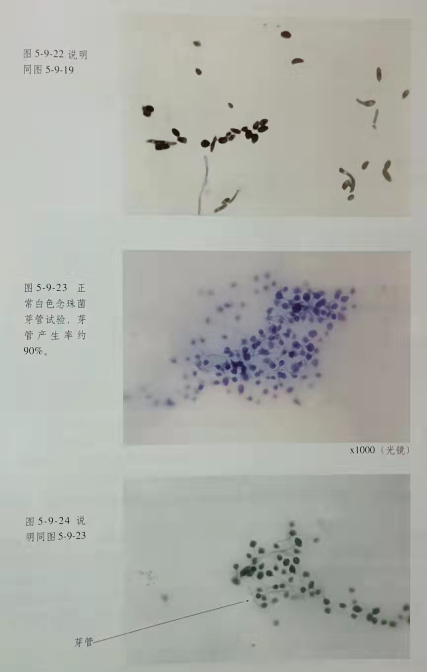 首页-人生就是博中国官方网站