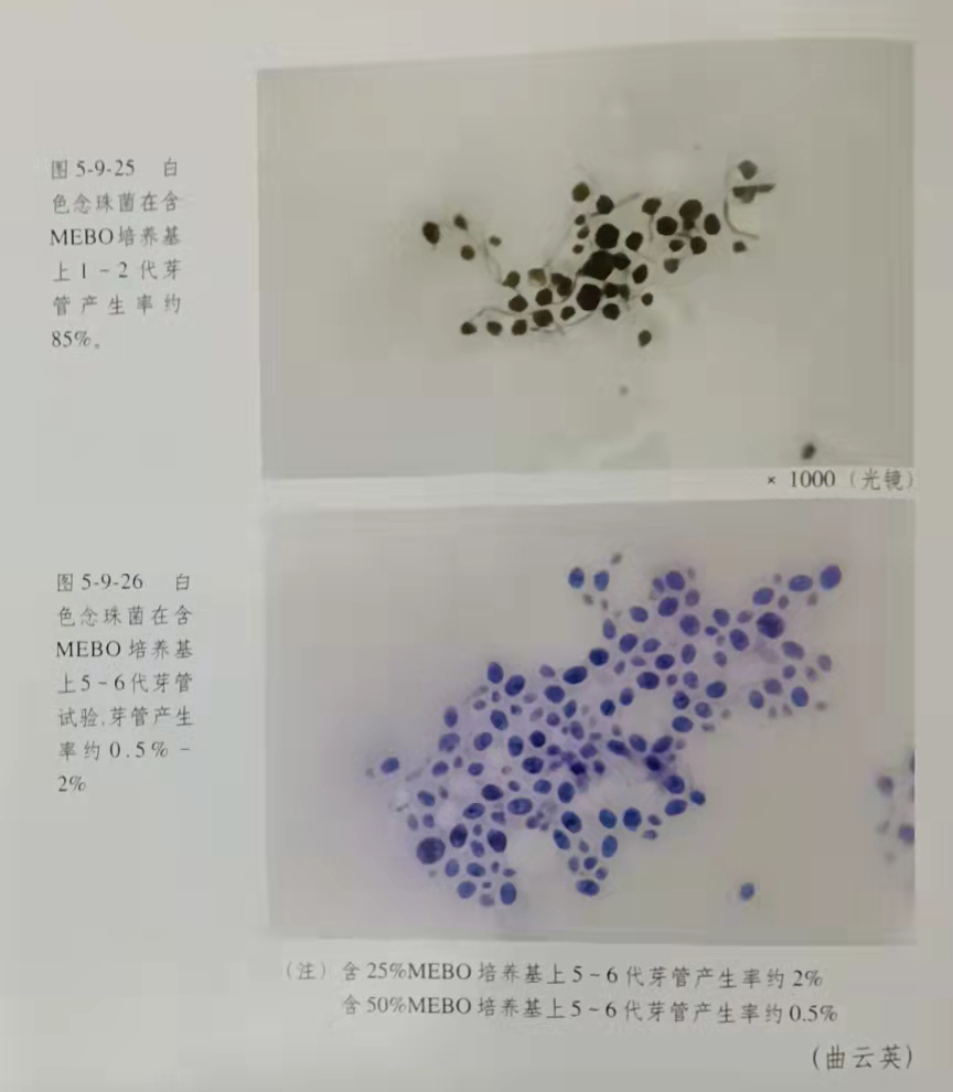 首页-人生就是博中国官方网站