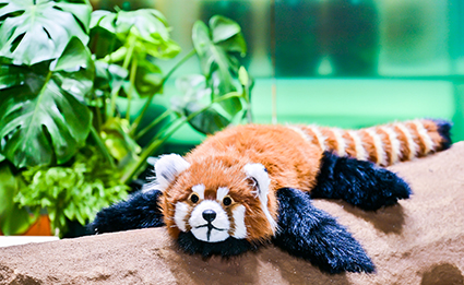 首页-人生就是博中国官方网站