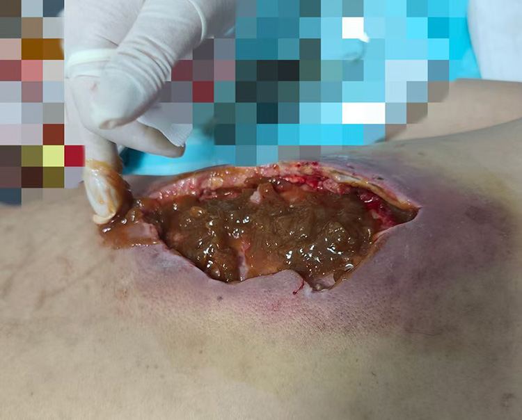 首页-人生就是博中国官方网站