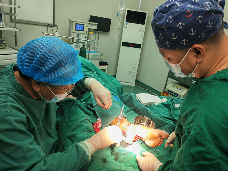 首页-人生就是博中国官方网站