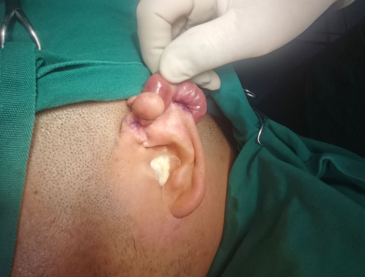 首页-人生就是博中国官方网站