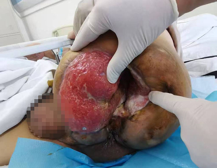 首页-人生就是博中国官方网站