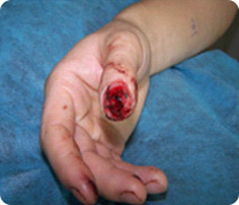 首页-人生就是博中国官方网站